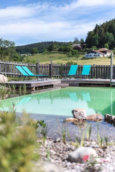 Le Domaine Des Fleurs - Appartement La Gentiane Gérardmer Екстериор снимка